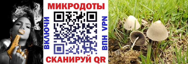 Псилоцибиновые грибы Psilocybine cubensis Гудермес