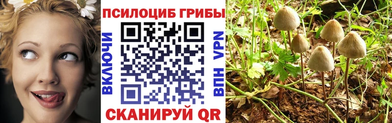 Псилоцибиновые грибы прущие грибы  Гудермес 