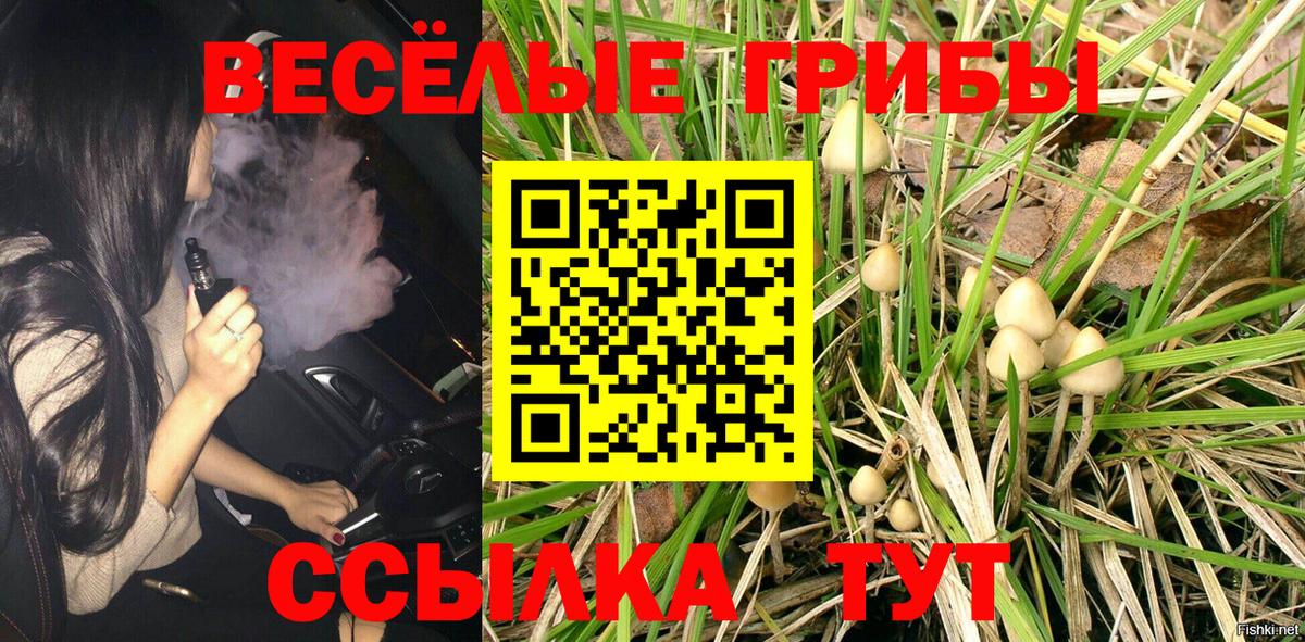 Псилоцибиновые грибы Гудермес