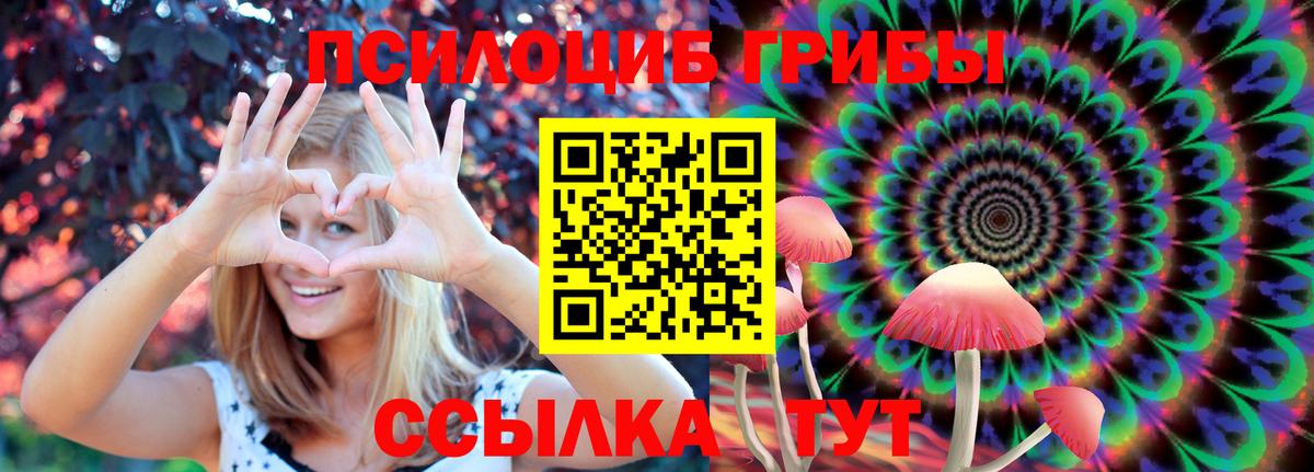 Псилоцибиновые грибы Cubensis Гудермес